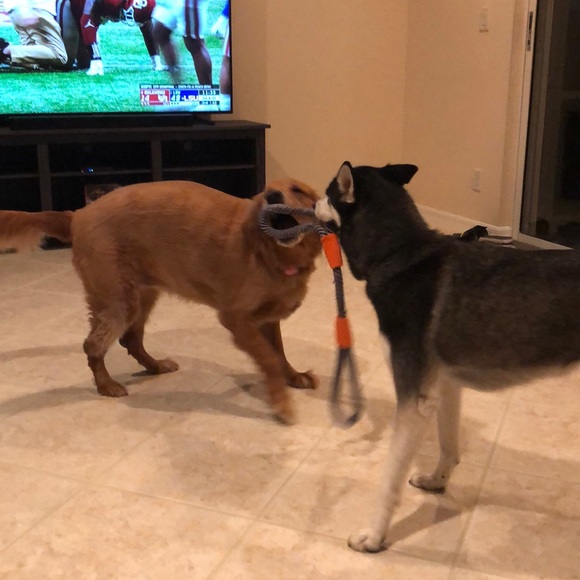 Meet your Posher, Michael - Picture 1 of 1